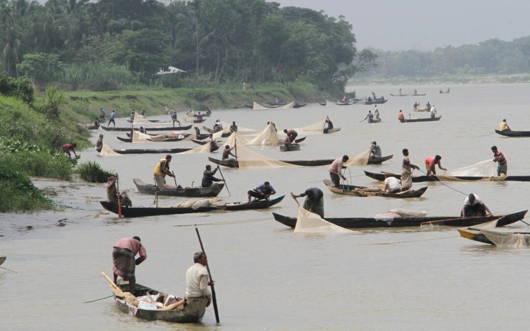 Feasibility Study of Development and Management of the Natural Breeding Ground of Halda River-DMNBGHR (Phase-2)